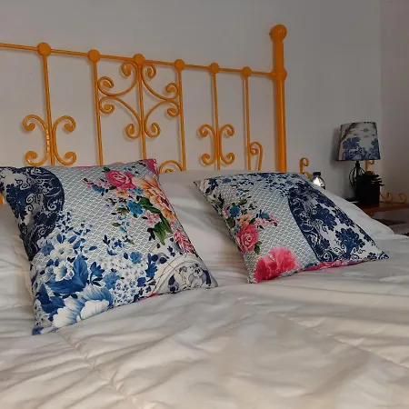 Guest house Casinha Oliveiras *