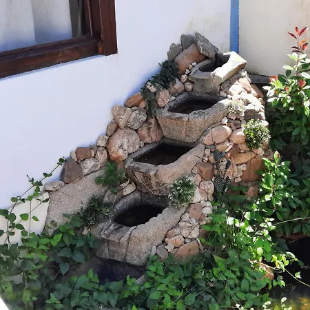 Casinha Oliveiras بيت ضيافة Bugios