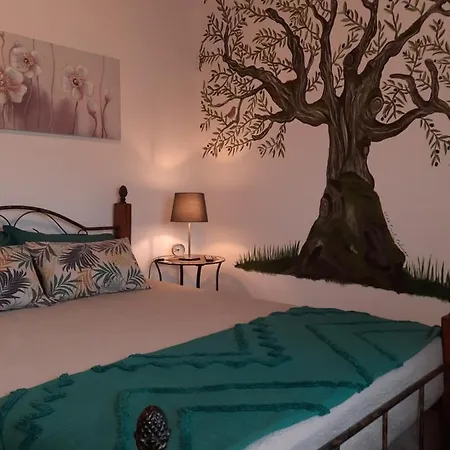 Casinha Oliveiras بيت ضيافة *